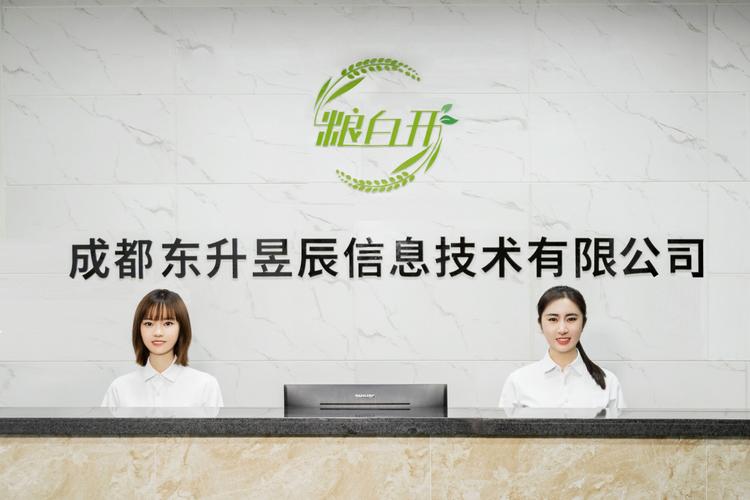 数字时代的双重信息引擎 信息技术与咨询服务的融合之道